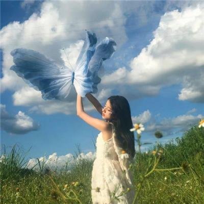 美丽生灵
